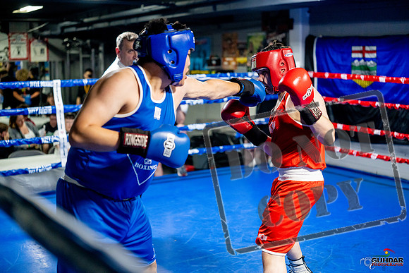 Cougar boxing June 7th 2025-0747