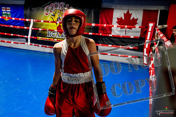 Cougar Boxing Basement Brawl -0344