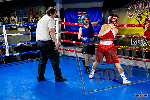 Cougar Boxing Basement Brawl -0487