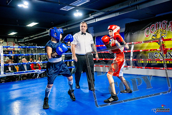 Cougar Boxing Basement Brawl -0047