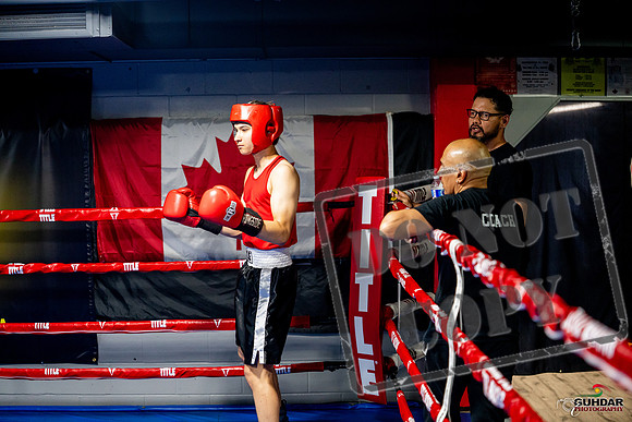 Cougar boxing June 7th 2025-0787