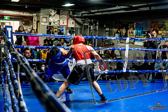 Cougar Boxing Basement Brawl -0616