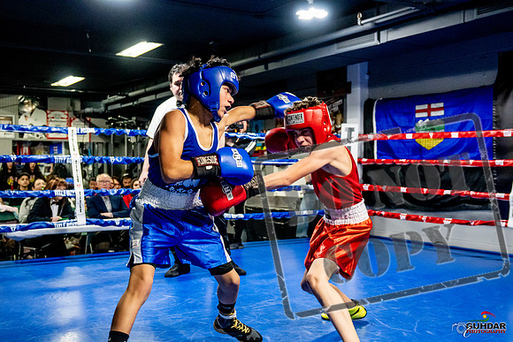 Cougar Boxing Basement Brawl -0252