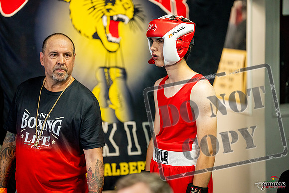 Cougar boxing June 7th 2025-0859
