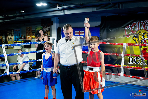Cougar boxing June 7th 2025-0081