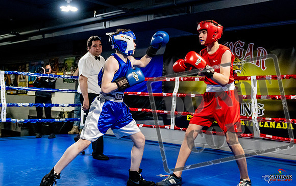 Cougar Boxing Basement Brawl -0183