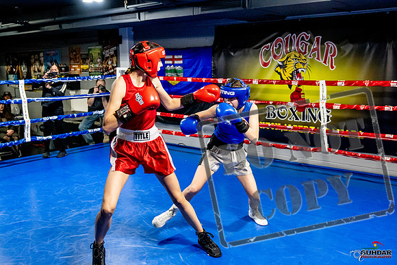 Cougar Boxing Basement Brawl -0572