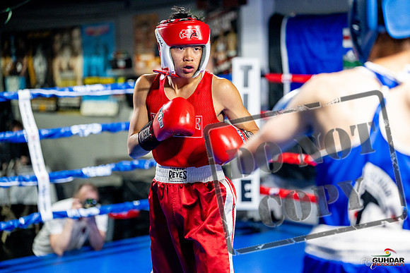 Cougar boxing June 7th 2025-0109
