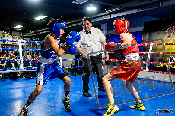 Cougar Boxing Basement Brawl -0266