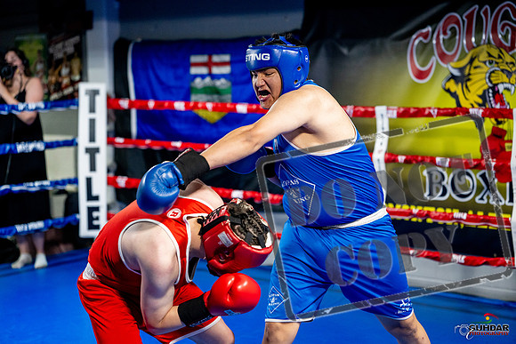 Cougar boxing June 7th 2025-0728