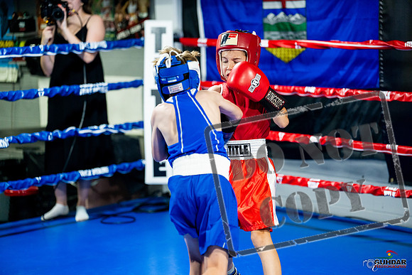 Cougar boxing June 7th 2025-0052