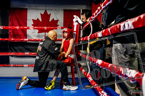 Cougar Boxing Basement Brawl -0233
