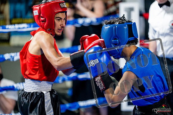 Cougar boxing June 7th 2025-0176