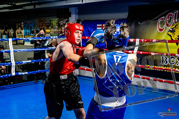 Cougar Boxing Basement Brawl -0537
