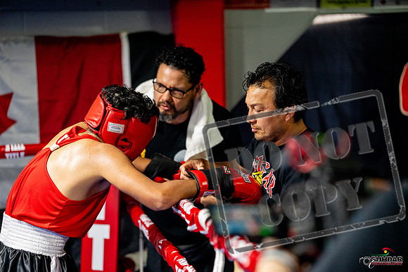 Cougar boxing June 7th 2025-0635