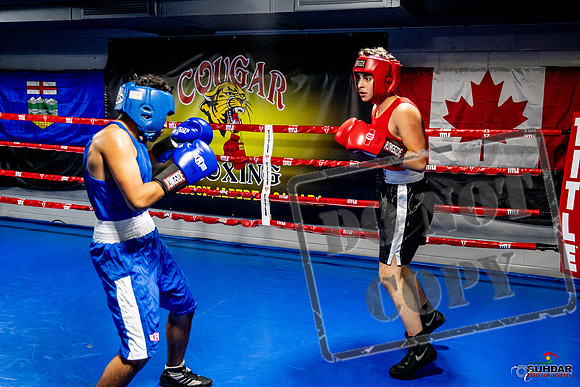 Cougar Boxing Basement Brawl -0608