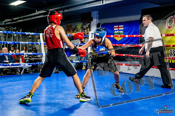 Cougar Boxing Basement Brawl -0288