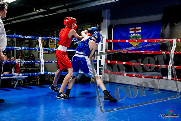 Cougar Boxing Basement Brawl -0191