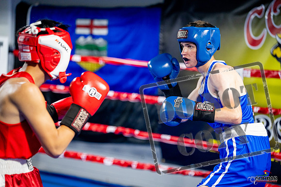 Cougar boxing June 7th 2025-0131