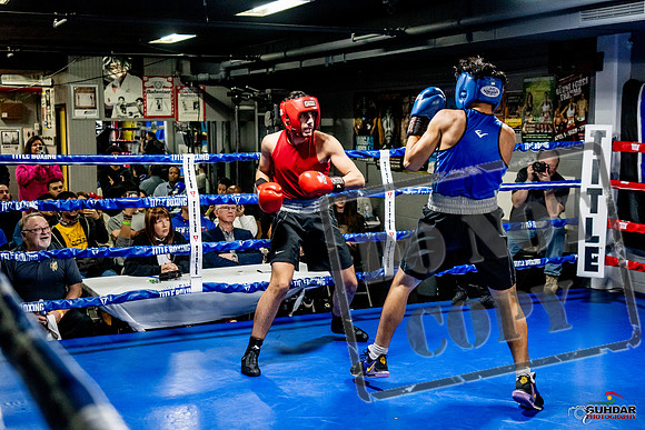 Cougar Boxing Basement Brawl -0666
