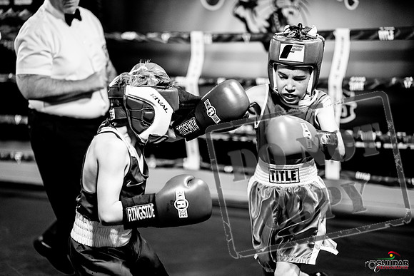 Cougar boxing June 7th 2025-0068