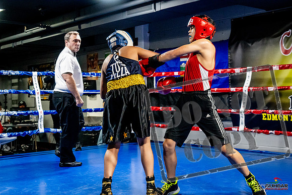 Cougar Boxing Basement Brawl -0282