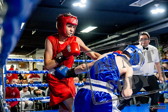 Cougar Boxing Basement Brawl -0181
