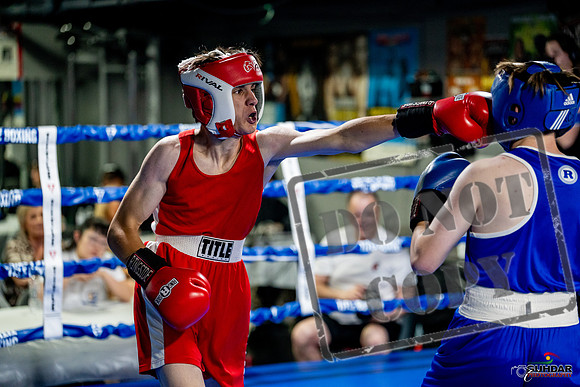 Cougar boxing June 7th 2025-0886