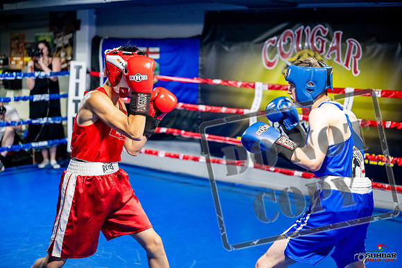 Cougar boxing June 7th 2025-0119