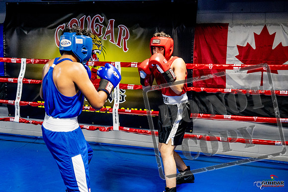 Cougar Boxing Basement Brawl -0609
