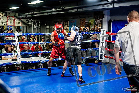Cougar Boxing Basement Brawl -0404