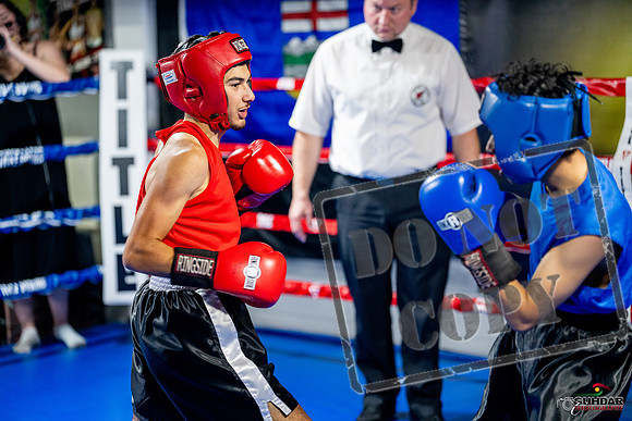 Cougar boxing June 7th 2025-0184