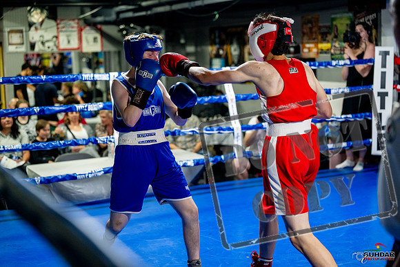 Cougar boxing June 7th 2025-0881
