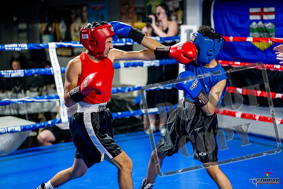Cougar boxing June 7th 2025-0194