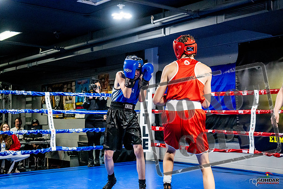 Cougar Boxing Basement Brawl -0128