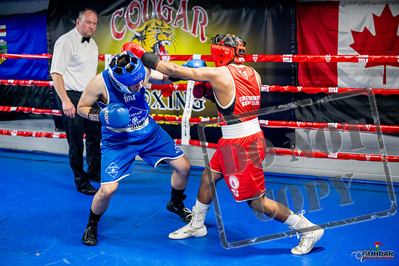 Cougar boxing June 7th 2025-0297