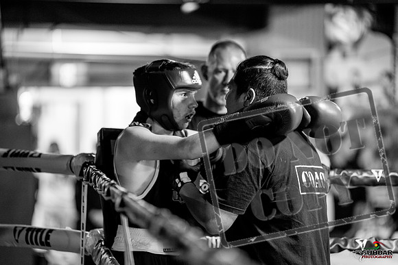 Cougar boxing June 7th 2025-0888