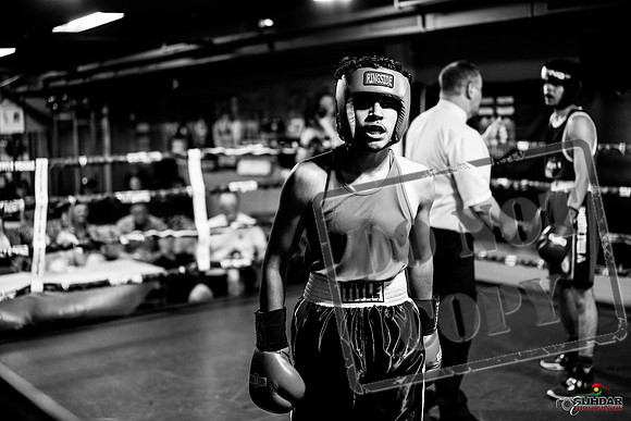 Cougar boxing June 7th 2025-0627