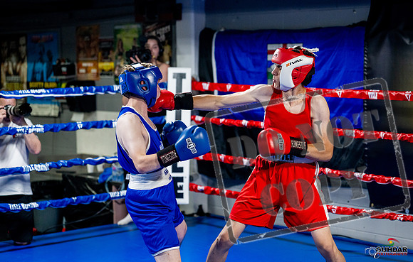 Cougar boxing June 7th 2025-0867