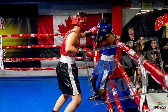 Cougar Boxing Basement Brawl -0633
