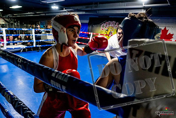 Cougar Boxing Basement Brawl -0496