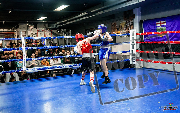 Cougar Boxing Basement Brawl -0008