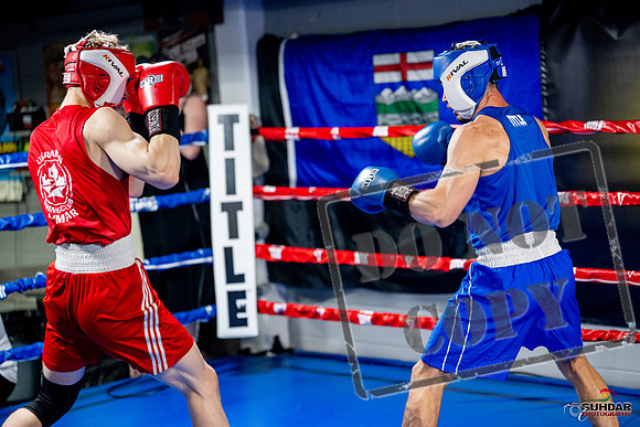 Cougar boxing June 7th 2025-0374