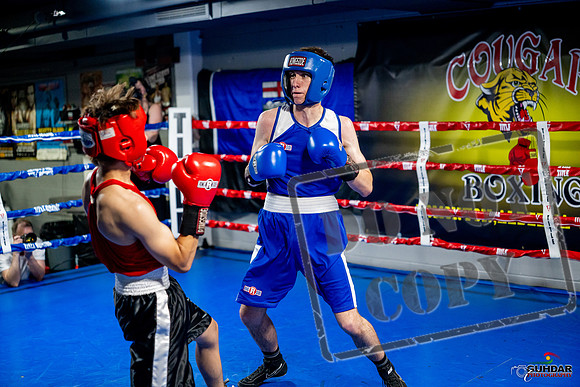 Cougar boxing June 7th 2025-0834