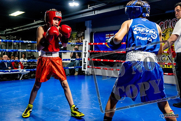 Cougar Boxing Basement Brawl -0226