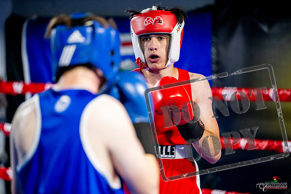 Cougar boxing June 7th 2025-0892
