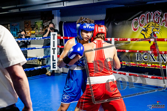 Cougar Boxing Basement Brawl -0466