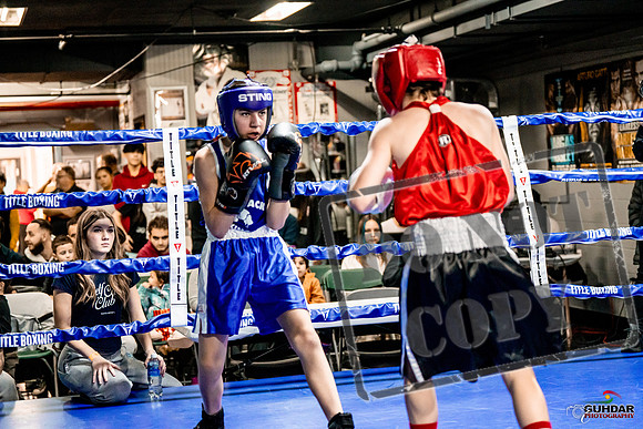 Cougar Boxing Basement Brawl -0030