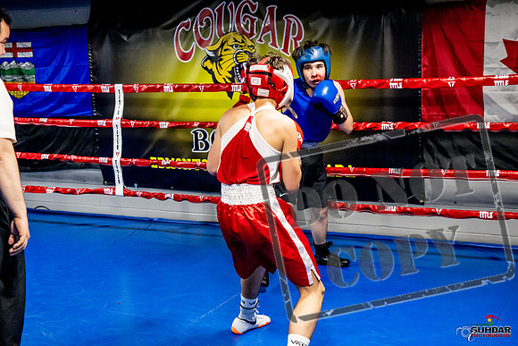Cougar Boxing Basement Brawl -0506