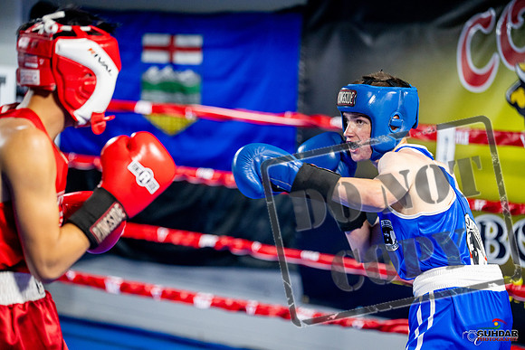 Cougar boxing June 7th 2025-0133